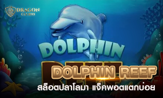 สล็อตปลาโลมา DOLPHIN REEF Slot แจ็คพอตแตกบ่อย